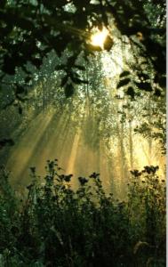 2011 Dintelse Gorzen 2. 062