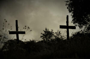 Website 100.  DSC0266