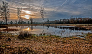  PBS1290 bewerkt definitief