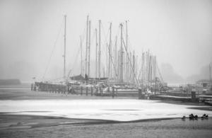 Afdrukken definitief 2